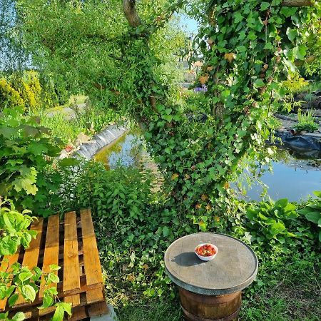 Apartament U Beti Opole Ngoại thất bức ảnh